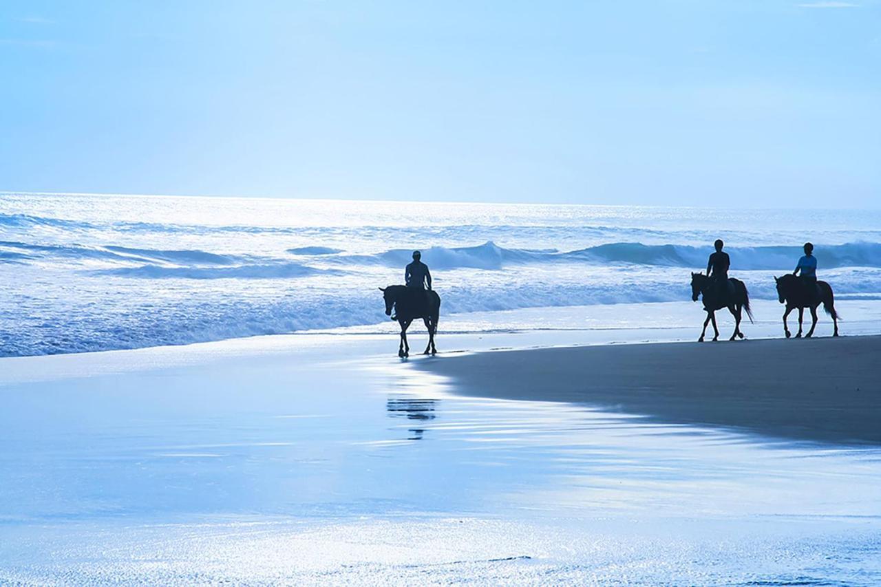 Nantucket Penthouse - Walk To Restaurants Beaches Activies & So Much More Халф Мун Бэй Экстерьер фото