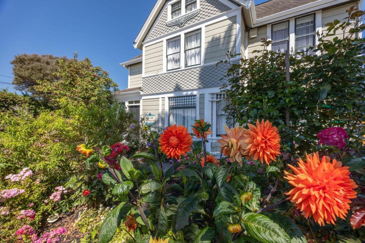Nantucket Penthouse - Walk To Restaurants Beaches Activies & So Much More Халф Мун Бэй Экстерьер фото